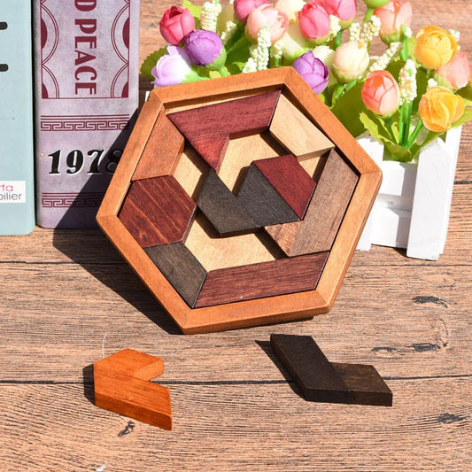 Wooden Geometric Puzzle Shape Sorting Educational Brain Teaser for Kids