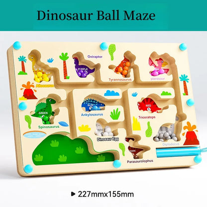 Magnetic Maze Toy with Magnetic Beads for Fine Motor Skills Learning
