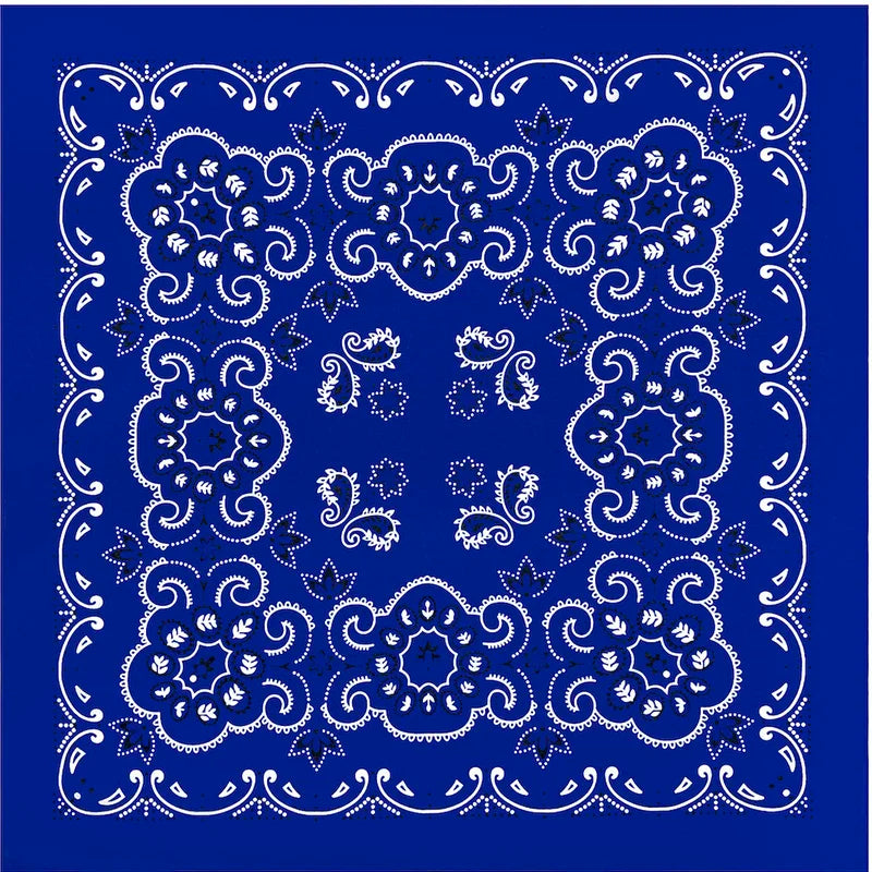 Cotton Bandana 70cm Paisley Square Scarf Headband for Men & Women