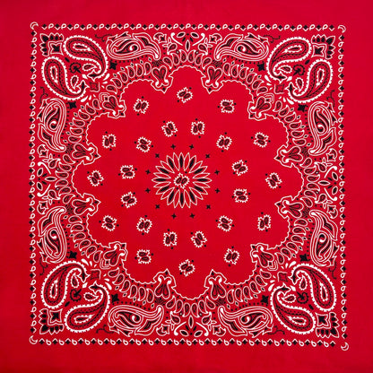Cotton Bandana 70cm Paisley Square Scarf Headband for Men & Women